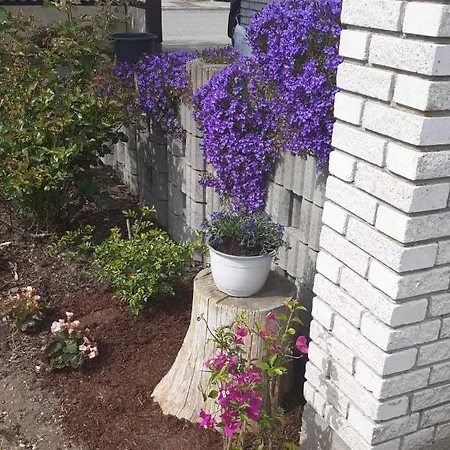 Hvidehus Aunslev Apartman Nyborg